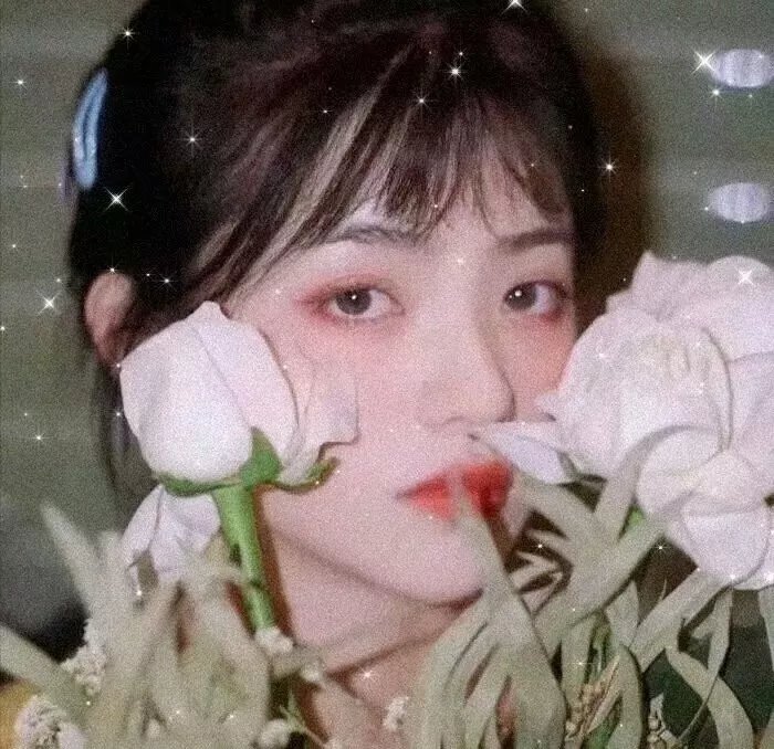新不了情